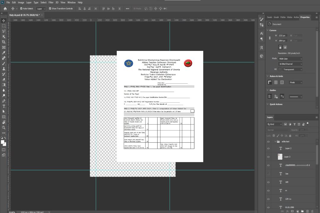 Déclaration de taxe sur la valeur ajoutée en Éthiopie Oromia Modèle Word et PDF template Déclaration de taxe sur la valeur ajoutée en Éthiopie Oromia Modèle Word et PDF template
